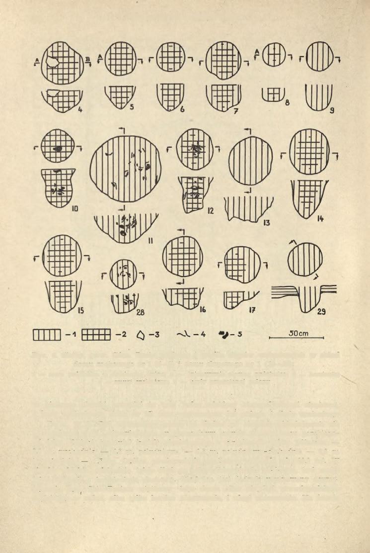 42 WŁODZIMIERZ WOJCIECHOWSKI Ryc. 4. Siciny, pow. Góra.
