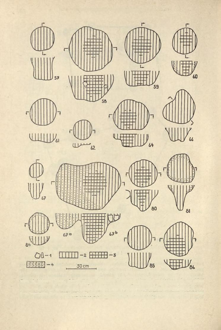 44 WŁODZIMIERZ WOJCIECHOWSKI Ryc. 6.