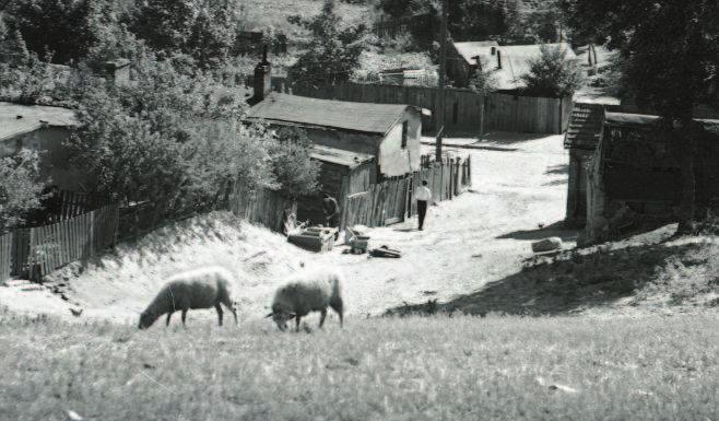 W 1930 r. powstał zespół mieszkaniowy przy ul. Morskiej 108/112 Miejskie Domy Mieszkalne dla robotników. W blokach 112a i 112c znajdowały się urzędy i instytucje.