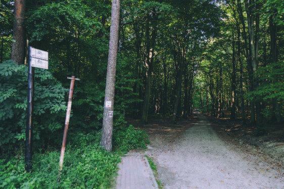 otwartych.