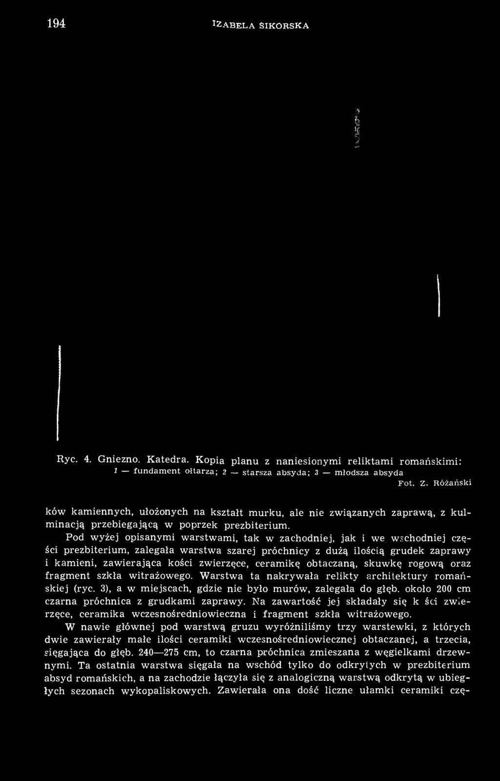 Pod wyżej opisanymi warstwami, tak w zachodniej, jak i we wschodniej części prezbiterium, zalegała warstwa szarej próchnicy z dużą ilością grudek zaprawy i kamieni, zawierająca kości zwierzęce,
