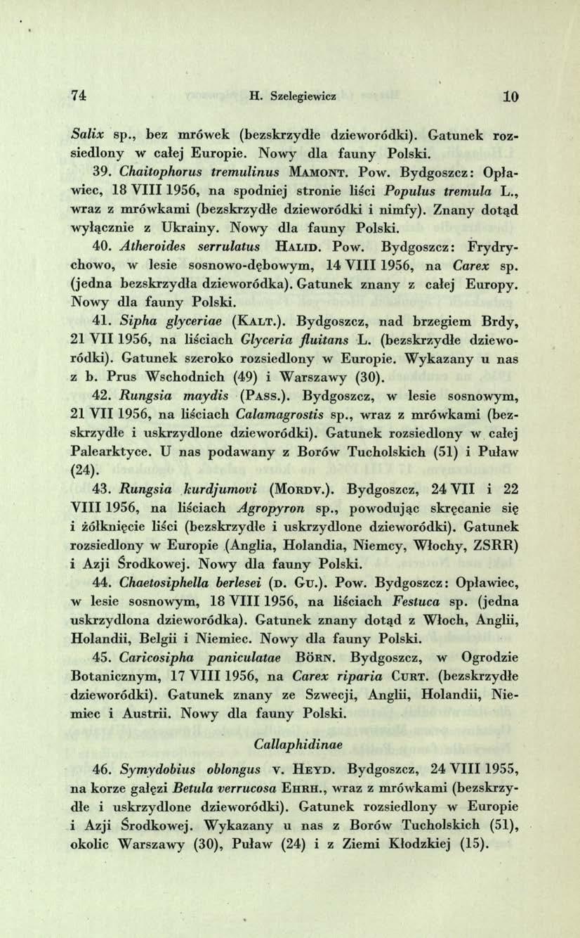 74 H. Szelegiewicz 1 0 S a lix sp., bez m rów ek (bezskrzydłe dziew oródki). G atu n ek ro z siedlony w całej E u ro p ie. N ow y dla fau n y Polski. 39. Chaitophorus trem ulinus M a m o n t. P o w.