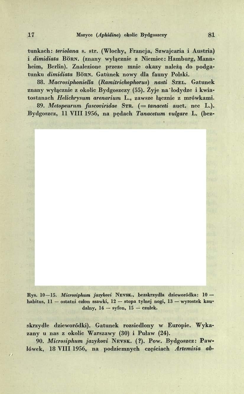 1 7 Mszyce (Aphidina) okolic Bydgoszczy 8 1 tu n k a c h : teriolana s. str.