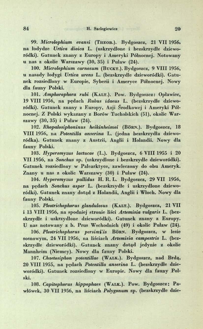 8 4 H. Szelegiewicz 2 0 99. M icrolophium evansi (T h e o b.). Bydgoszcz, 21 V II 1956* n a łodydze Urtica dioica L. (uskrzydlone i bezskrzydłe dzieworódki).