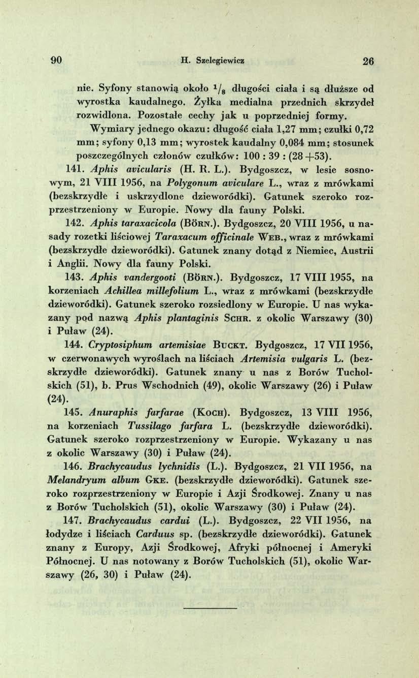 9 0 H. Szelegiewicz 2 6 nie. Syfony stanow ią około 1/g długości ciała i są dłuższe od w yro stk a kaudalnego. Ż yłka m edialna przednich skrzydeł rozw idlona.