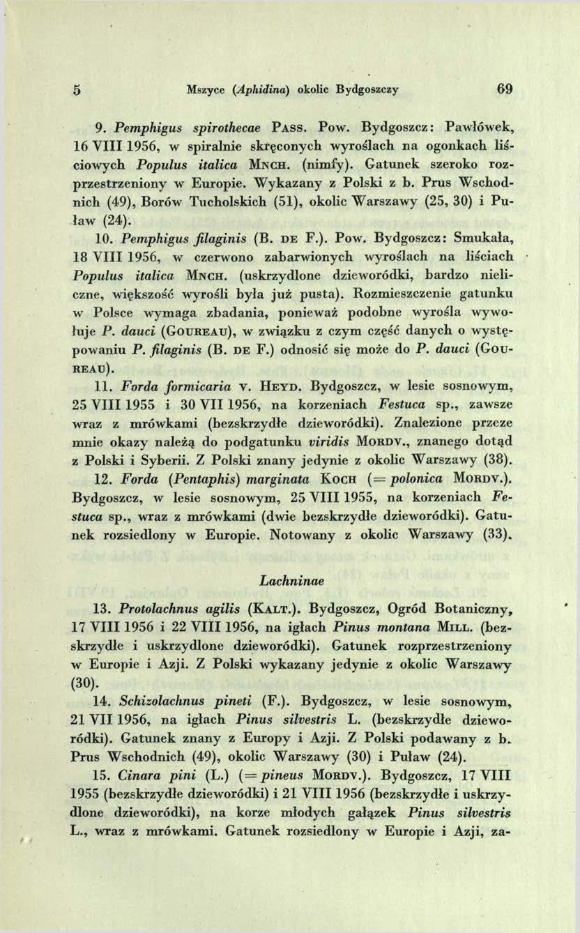 5 Mszyce (Aphidina) okolic Bydgoszczy 6 9 9. Pemphigus spirothecae P a s s. P ow.