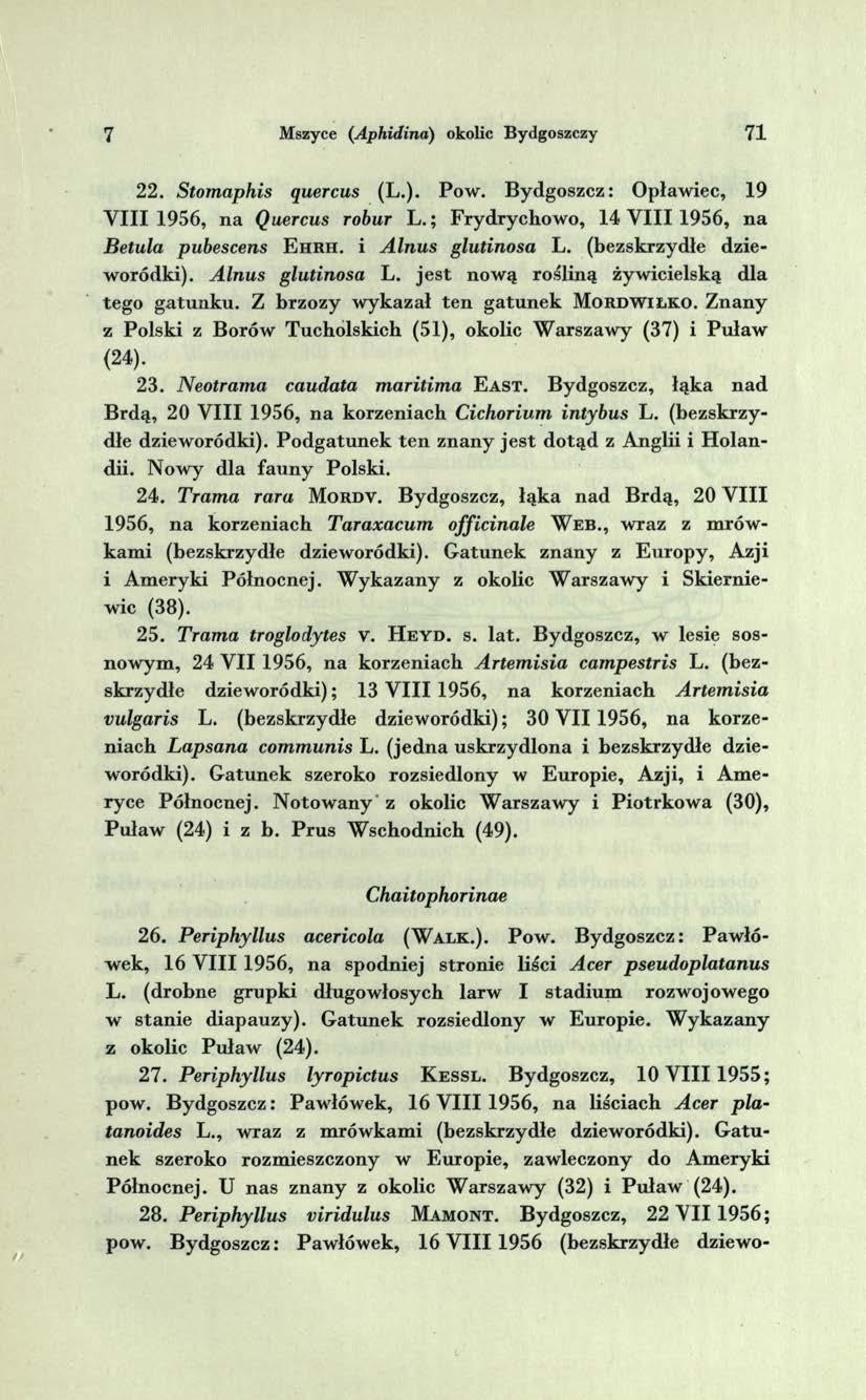 7 Mszyce (Aphidina) okolic Bydgoszczy 71 22. Stomaphis quercus (L.). Pow. Bydgoszcz: Opławiec, 19 V III 1956, na Quercus robur L.; Frydrychow o, 14 V III 1956, n a Betula pubescens E h r h.