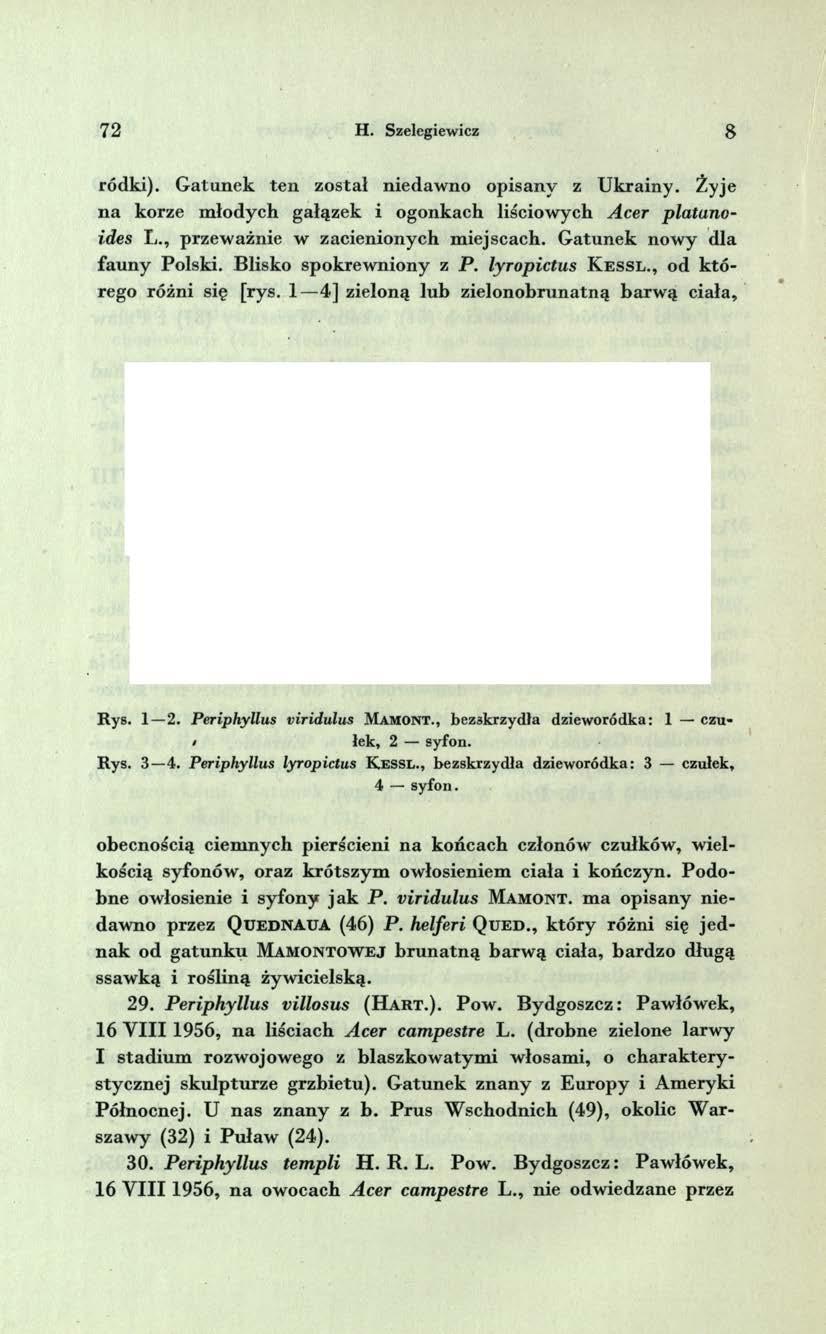 72 H. Szelegiewicz 8 ródki). G atu n ek ten został niedaw no opisany z U krainy. Żyje n a korze m łodych gałązek i ogonkach liściowych Acer platunoides Ł., przew ażnie w zacienionych m iejscach.