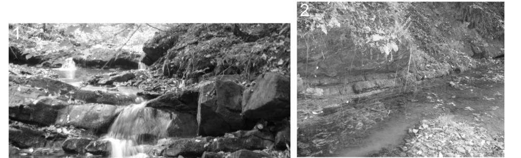 40 M. Bąk, M.A. Kaminski & A. Waśkowska (eds) Figure 2. Outcrops of the Zembrzyce Shale Member in Harbutówka valley material generally from the northeast (Książkiewicz, 1966a).