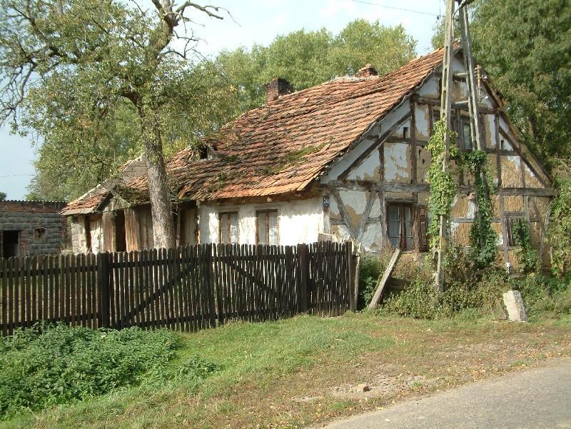 Zdjęcia 9,