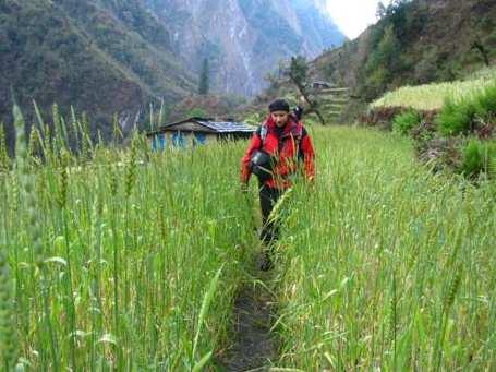 Harmonogram trekkingu ( strona Nepal ) koszt 3500 usd organizację wyprawy, przeloty, ubezpieczenie, noclegi, tragarzy, 2 posiłki dziennie, w górach na trekkingu 3 posiłki dziennie, wstęp do Parku