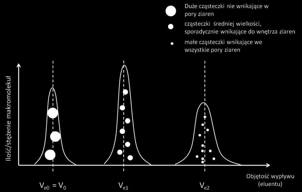 Ich objętośd elucyjna równa się objętości swobodnej V 0. Cząsteczki średniej wielkości, których rozmiar pozwala sporadycznie wniknąd do wnętrza ziaren, wypłyną z kolumny na pozycji pośredniej (np.