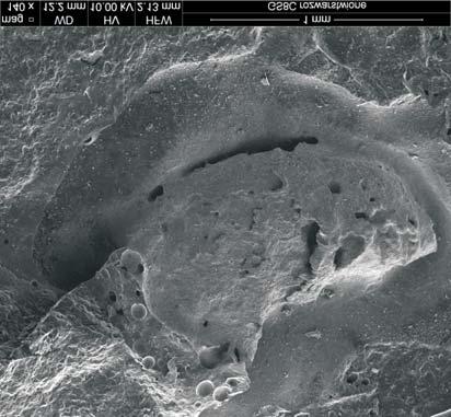 78 Lewicka i Franus 2014 / Gospodarka Surowcami Mineralnymi Mineral