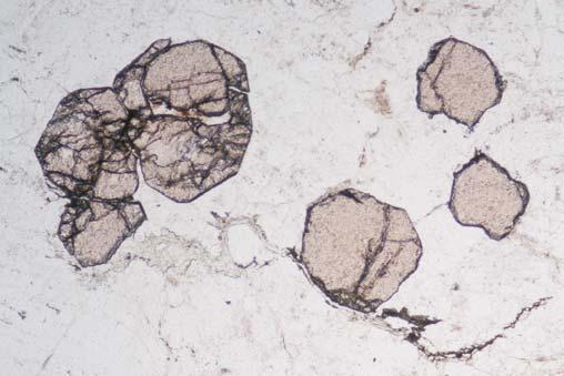 Lewicka i Franus 2014 / Gospodarka Surowcami Mineralnymi Mineral Resources Management 30(1), 69 84 73 Akcesoryczny granat tworzy przewa nie wrostki w innych minera³ach, m.in. w kwarcu lub mikroklinie.