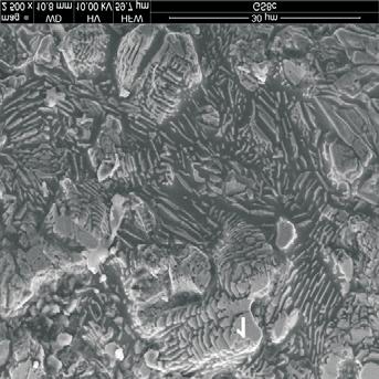 SEM/EDS analyses of heterogeneity on the surface of the pellets studied: 5.