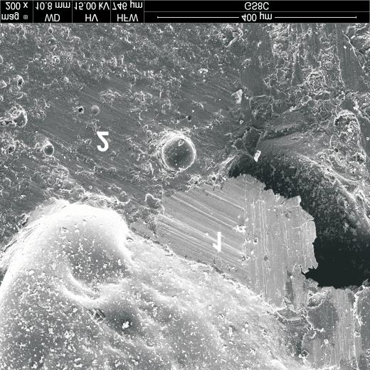 Lewicka i Franus 2014 / Gospodarka Surowcami Mineralnymi Mineral Resources Management 30(1), 69 84 77 Rys. 8. Mikrofotografia SEM wrostków faz elazistych i widma EDS w punktach 1 i 2. Pastylka 2 Fig.
