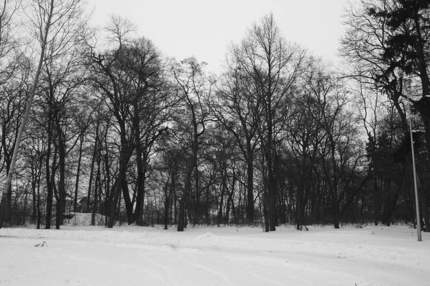 2.1.5. Park krajobrazowy W miejscowości znajduje się park krajobrazowy o pierwotnej powierzchni 4,47 ha, założony na końcu XVIII wieku.