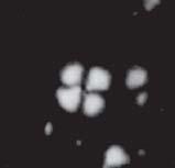 the Cieszyn Beds): A, B