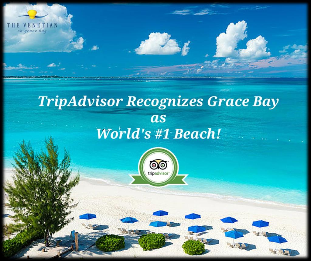 Grace Bay Beach - plaża uważana za najpiękniejszą na Świecie, przyciąga swoim urokiem wielu sportowców, aktorów, muzyków i ludzi show biznesu. Można tu spotkać m.in.