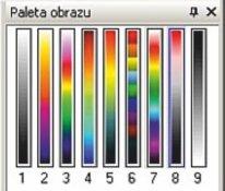 tworzenie histogramu dla całego obrazu oraz dla każdego zaznaczonego obszaru; z graficzną prezentacją procentowego rozkładu obszarów z temperaturami w