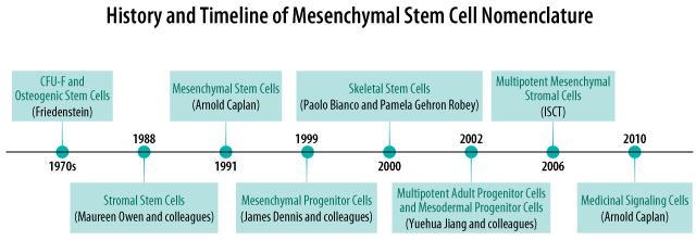 DOJRZAŁOŚĆ KOMÓRKI MACIERZYSTE (STEM CELLS) są różne!