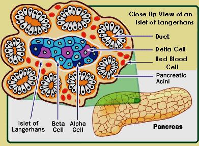 KOMÓRKI MACIERZYSTE (STEM CELLS) kiedy