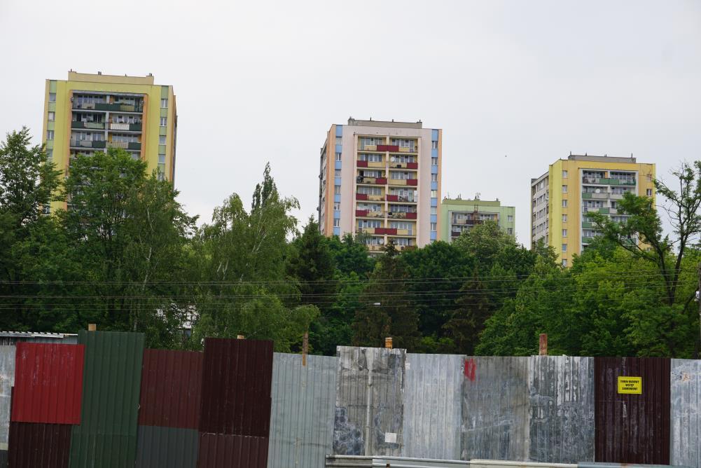 KOMUNIKACJA/ DOSTĘPNOŚĆ// BEZPIECZEŃSTWO ZEJŚCIA DO PARKU DLA OSÓB NA WÓZKACH/ Z WÓZKAMI UTWARDZONE