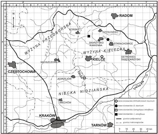 Distribution of Orthodicranum tauricum and Campylopus introflexus on the Małopolska Upland Oba miejsca stwierdzenia gatunku dzieli dystans ok. 1,5 km w linii prostej.