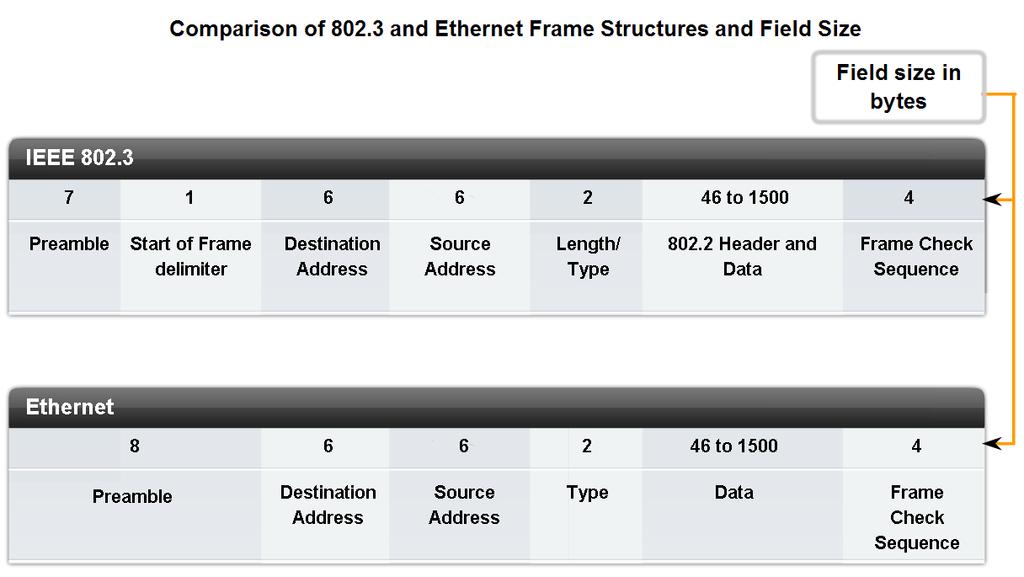 Layer 2 Addressing and Its Impact on Network