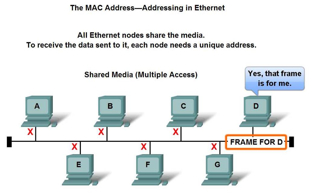 Layer 2 Addressing and Its Impact on Network