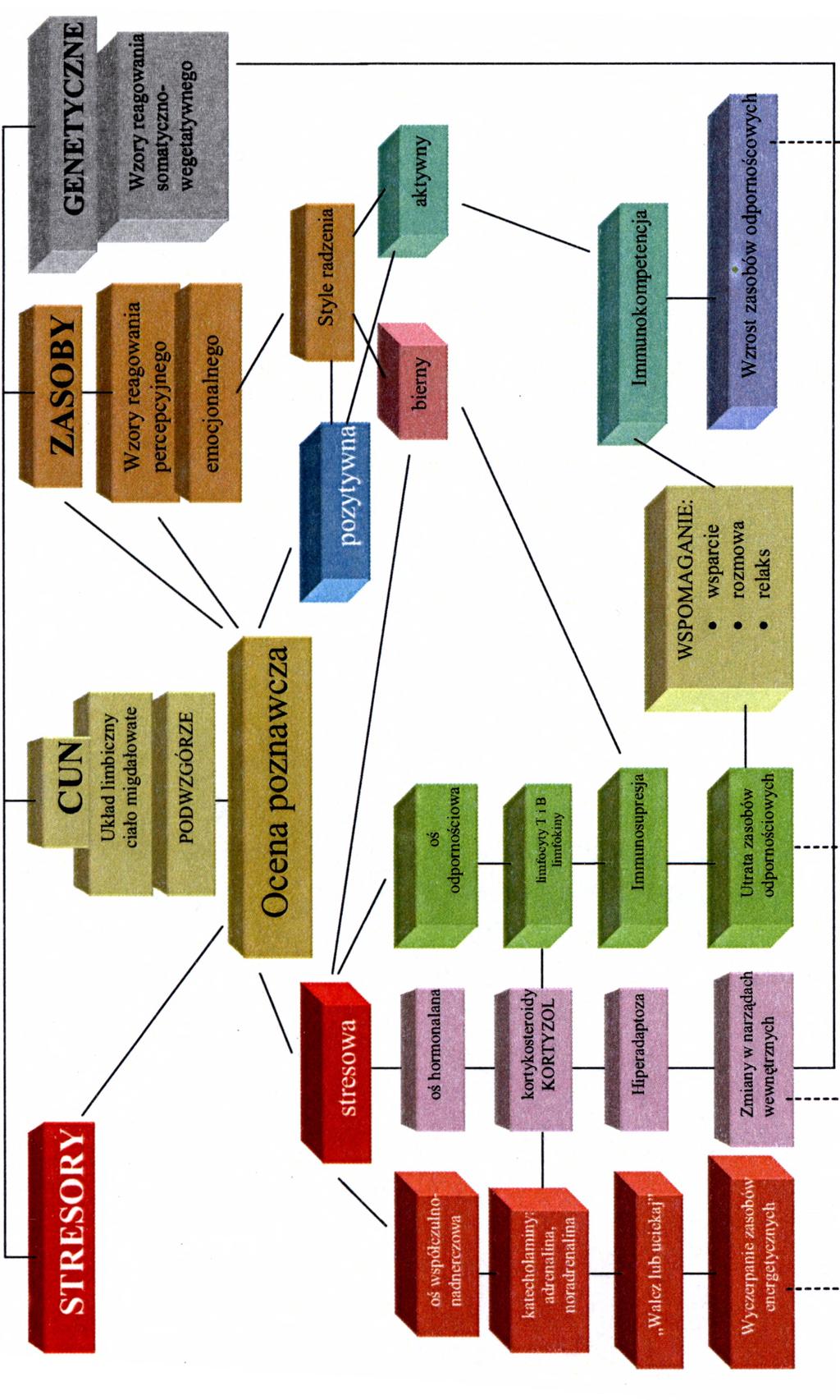 psychobiologiczne mechanizmy, [w:] Zdrowie,