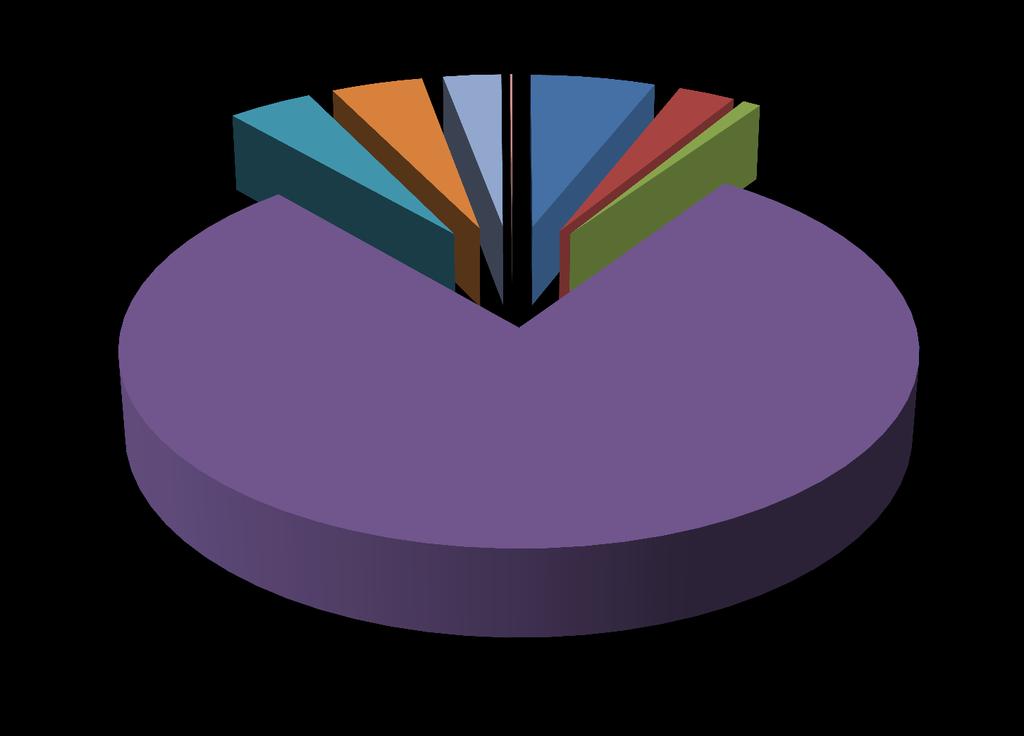 Odpady poprocesowe 4% 4% 3% 0% 6% 3% 1% 19 01 06* odpady zestalone 19 01 07*