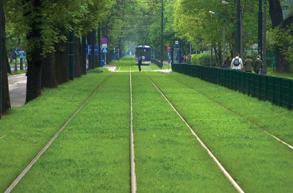 W Krakowie zielone torowiska (ok. 28 km) stanowią ok. 15% ogółu długości torowisk (ok.