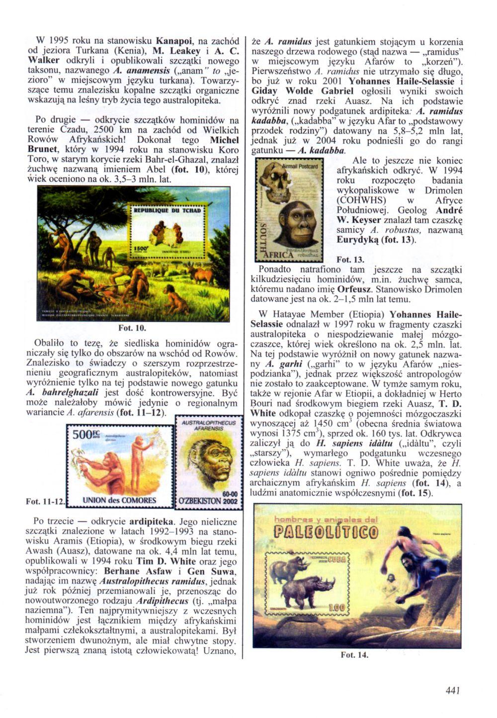 W 1995 roku na stanowisku Kanapol, na zachód od jeziora Turkana (Kenia), M. Leakey i A. C. Walker odkryli i opublikowali szczątki nowego taksonu, nazwanego A.