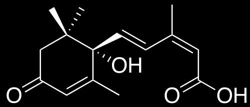 Ekspresja genów ABA Stres biotyczny Aparaty szparkowe (stres suszy) Inhibitor kiełkowania, odpowiada za stan spoczynku nasion Podwyższony