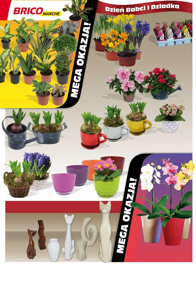 Rośliny zielone wys. 15-35 cm doniczka: 9 cm CERAMIKA 7 99 Wazon ceramiczny wys. 18,5 cm różne wzory i kolory 9 99 Figurka ceramiczna Kot wys.