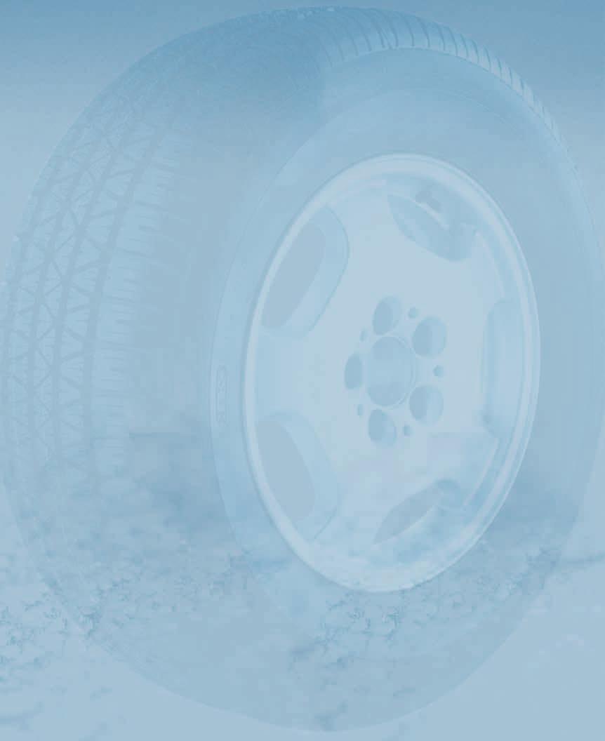 Branch of Shanghai Baolong Automotive Corporation