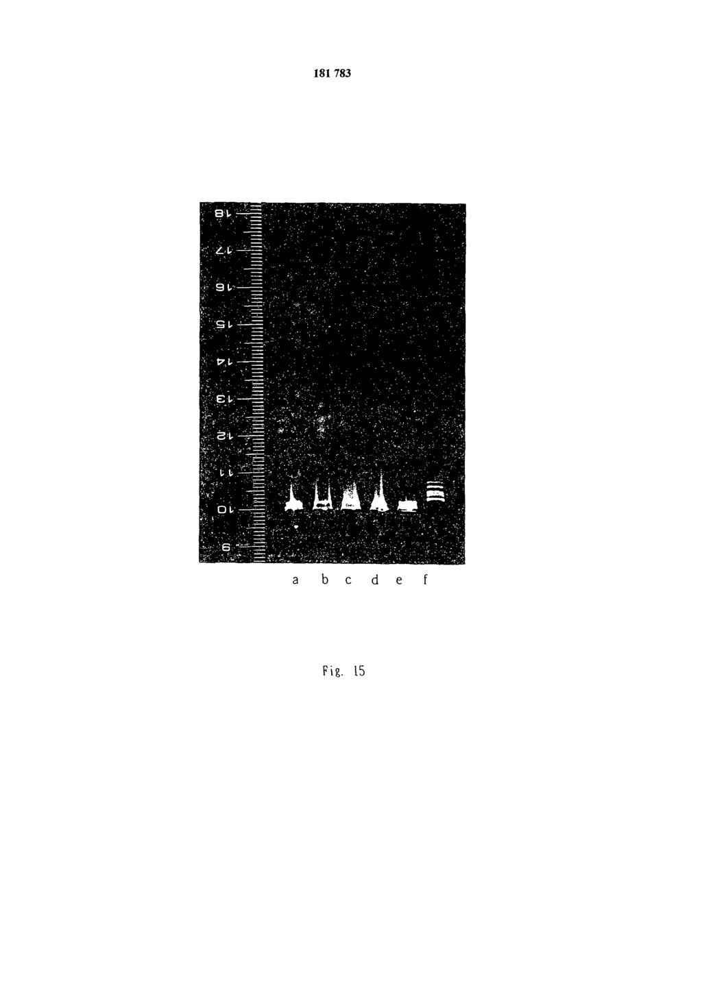 Fig. 15