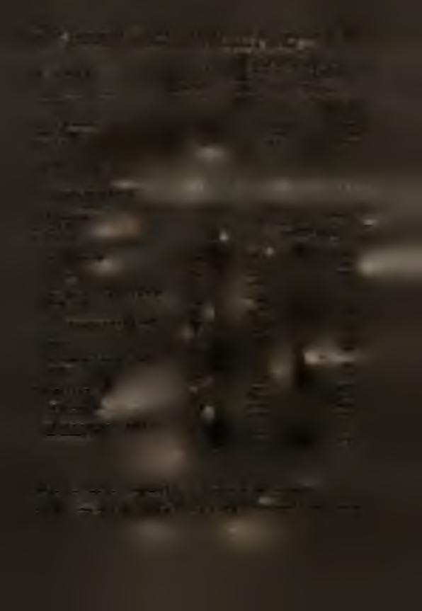 70' T A B L.3.; NOWOROZPOCZYNANE * ' ZADAN4 BUDOWNCTWA NWESTYCYJNEGO W GOSPODARCE PAŃSTWOWEJ W G DZAŁÓW GAŁĘZ GOSPODARK NARODOWEJ W l_st0f*ąpz:'e:-98.6j::r(l!)ku>'.'.:^' WYSZCZEGÓLNENE, ' Lczba zadań