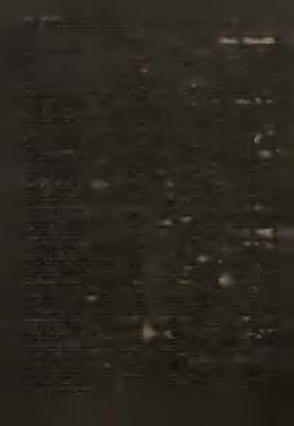 TAB, n D O S T A W Y T OWAROM Z P R O D U K C J KRA J O W E J Z M P O R T U NA Z A O P A T R Z E N E R Y N K U KRAyOAEßO, P RZEZ P R Z E D S Ę B O R S T W A P R O D U K C Y J N E NNE W Y S Z C Z E G