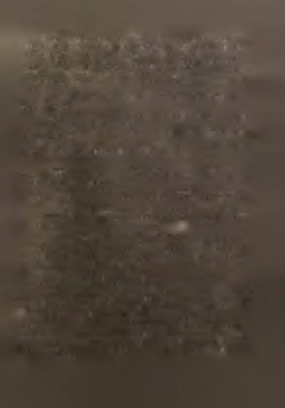 R o l n c t w o Splętrzono sę opóźnonych prac żnwnych Jak rómlet brak o;wdów wążący sę z tym nedobór wlgoc w glebo rał wpływ na opóźnena w dokonanu podory/ck,s owu poplondw sewu rzopaku ozmego pod