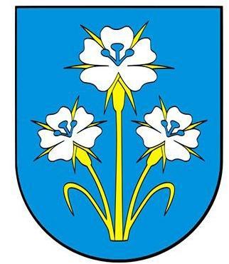 Strona1 Lokalny Program Rewitalizacji