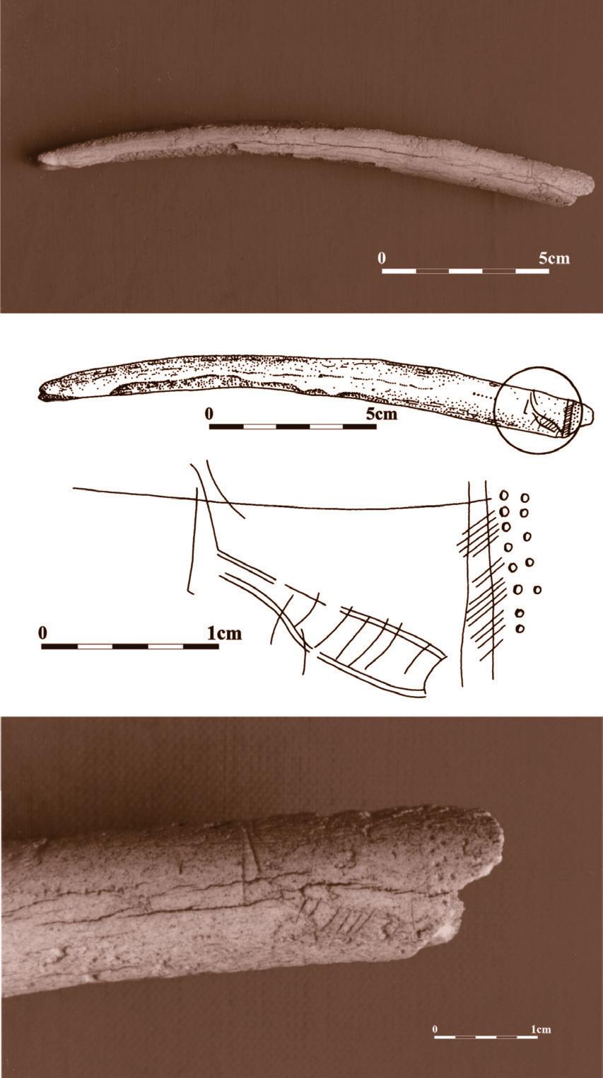 Fig. 13. Krucza Skała. Ornamented rod made of reindeer antler. Photo by T. Karpiński multifaceted axe production, waste and chips, and fewer massive blades, cores, scrapers and axe half-products.
