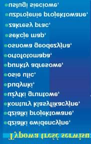 Udostępnianie geodanych w Polsce i Turyngii w świetle dyrektywy Inspire 81 Rys. 16. Treść serwisu w epodgik Fig. 16. Contents of epodgik service Źródło Source: Izdebski W.