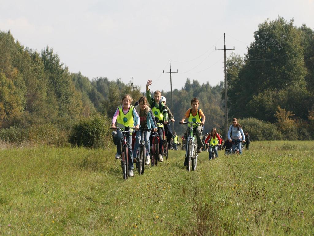 Infrastruktura turystyczna Szlaki turystyczne piesze (ok.