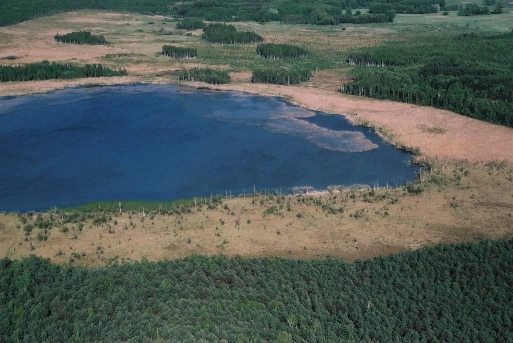 O atrakcyjności przyrodniczej i krajobrazowej PPN decydują przede wszystkim stosunki wodne.