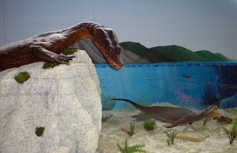 ŚLĄSKIE DINOZAURY NIE TYLKO Z KRASIEJOWA III Sesja Popularnonaukowa zorganizowana przez Katedrę Stratygrafii Ekosystemowej i Koło Naukowe Paleontologów Paradoxides w ramach obchodów 35-lecia Wydziału