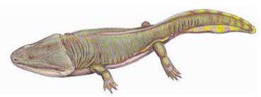 ŚLĄSKIE DINOZAURY Z KRASIEJOWA II Sesja Popularnonaukowa zorganizowana przez Katedrę Stratygrafii Ekosystemowej i Koło Naukowe Paleontologów Paradoxides 22 kwietnia 2005 r.