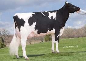 LINDELL 076HO00693 TV* TL* TY* TD* Hartline Lindell-ET TR Epic x Goldwyn x Zenith Reg: HOUSA000070673475 DOB 07/12/2012 aaa: 354216 BB A1A2 654-0,03 14 0,05 34 88 2,84 5,8 2,7 2,2 89 39 CÓREK 24 STAD