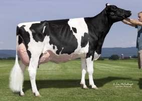 Uno-ET TV TL TY Matka Matki: Larcrest Chevelle-ET VG-87 HF CZARNO - BIAŁY +3,12 +2,22 +1,62 +0,97 +0,35 +2,64-0,47 +2,14 +2,32 +2,39 +3,81 +3,96 +3,64 +1,94 +3,70 +0,68 +0,84-0,15 CLOUT 151HO00758